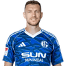 Edin Džeko portrait