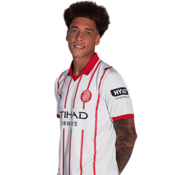 Axel Witsel portrait