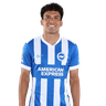 Diego Gómez portrait