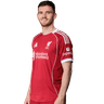 Andy Robertson portrait