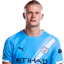 Erling Haaland portrait