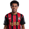 Tyler Adams portrait