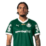 Gustavo Gómez portrait