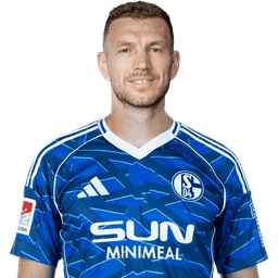 Edin Džeko portrait