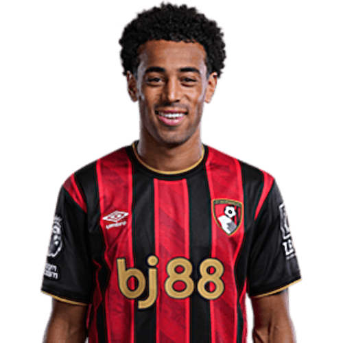 Tyler Adams portrait